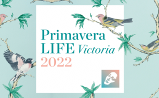 Cartell Primavera LIFE Victoria 2022